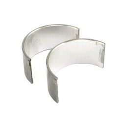 Pora švaistiklio guolių