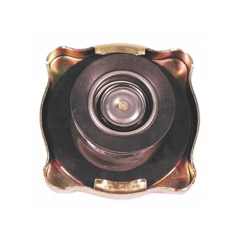 Radiatoriaus dangtelis 4999682n