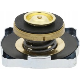 Radiatoriaus dangtelis 4999682n