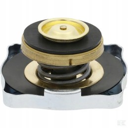 Radiatoriaus dangtelis 4999682n