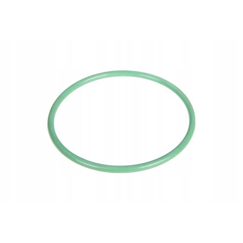F934201510030 alyvos bako sandarinimo žiedas 48 x 2 5