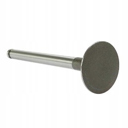 MF4 Andoria Mot išmetimo vožtuvas, supakuotas į 4 vnt