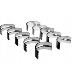 Pagrindinių švaistiklio guolių komplektas