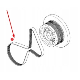 F946201040020 kelių trapecinis diržas