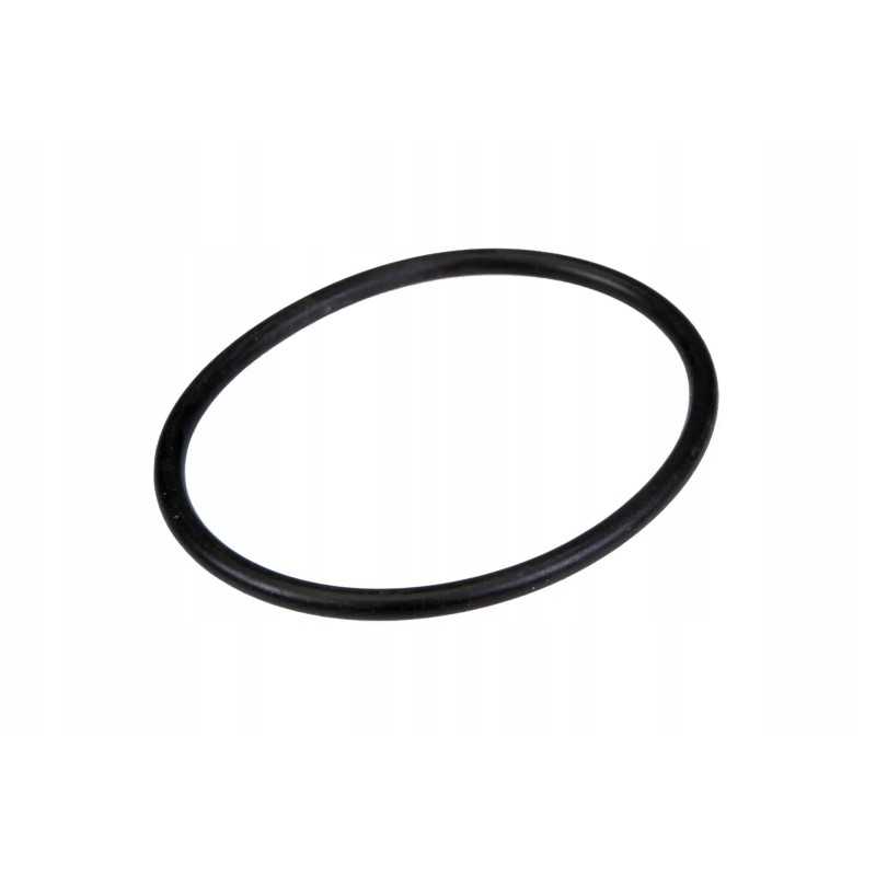 4288986m1 užpildymo dangtelio sandarinimo žiedas