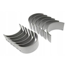 Švaistiklio guolių komplektas