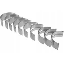 Pagrindinių švaistiklio guolių komplektas