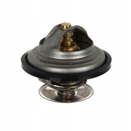 Vyriškas termostato dėklas steyr fendt f824200050060