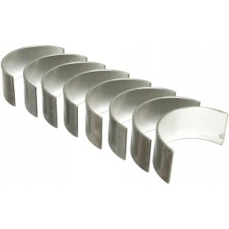 Švaistiklio guolių komplektas