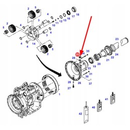 X484404001000 galinės ašies korpuso išleidimo kaištis