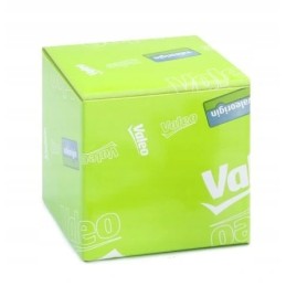 Galinio valytuvo variklis