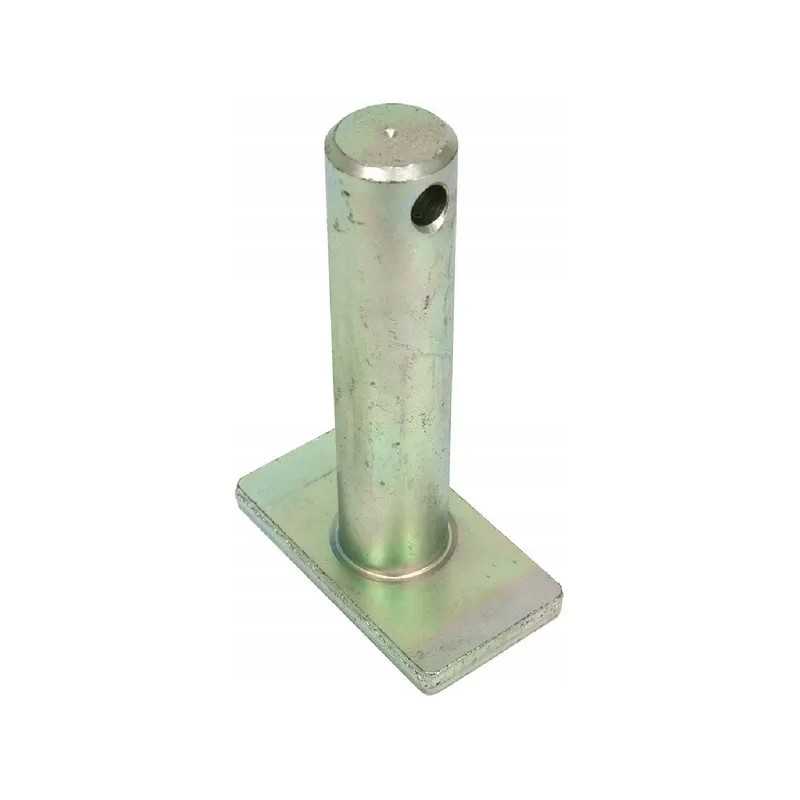 Apatinės jungties kaištis