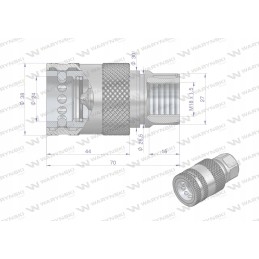 Greitos jungties slėgio lizdas M18x1 5 vidinis sriegis
