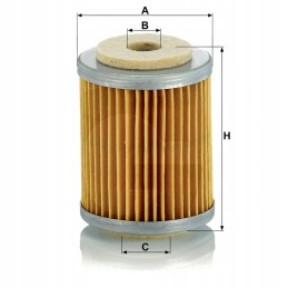 Hanomag Case Mann P609 kuro filtras