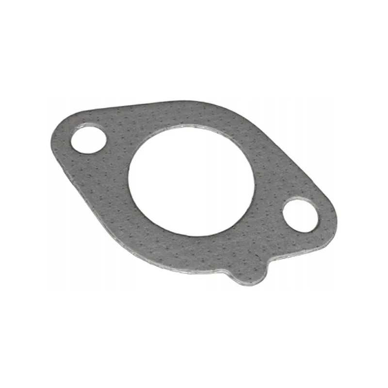 Išmetimo kolektoriaus tarpinė