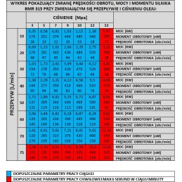 Hidraulinis variklis BMR OMP SMR 315 cm3 SAE 6B