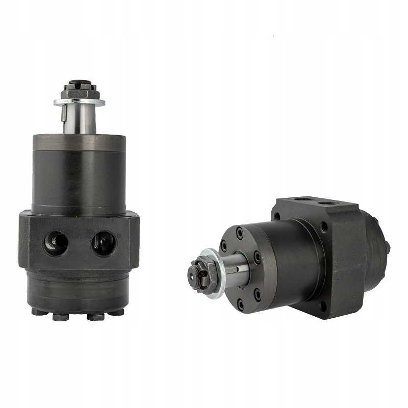 Hidraulinis variklis mpw 100 k o4 ws1 10 605 aps./min