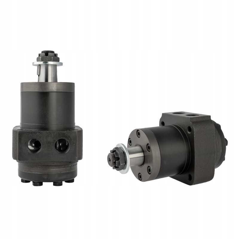 Hidraulinis variklis mpw 50 k o4 ws1 10 1210 aps./min