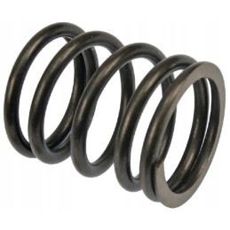 Galvos vožtuvo spyruoklė