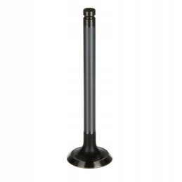 Case claas landini massey ferguson išmetimo vožtuvas