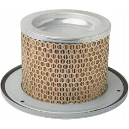 Vidinis oro filtras Donaldson P783449