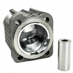 Variklio remonto komplektas 38004046 granitas