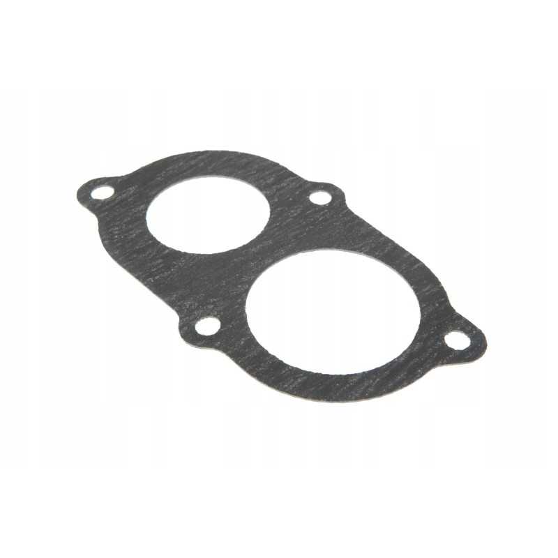 101678 termostato tarpiklis