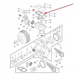 101678 termostato tarpiklis