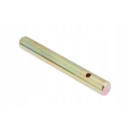 3384658m1 sankabos pedalo kaištis