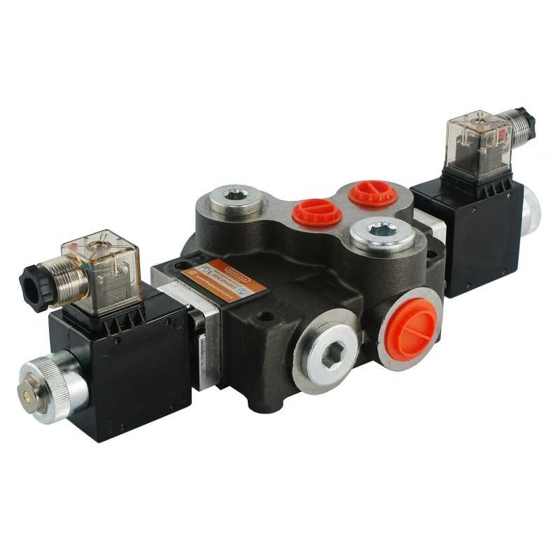 Platintojas hydr z80 a1 24v badestnost