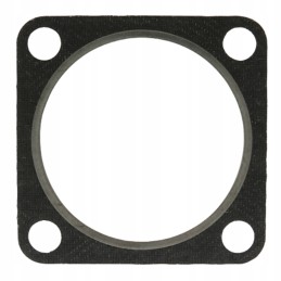 Tarpiklis duslintuvui 38004653 granitas