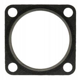 Tarpiklis duslintuvui 38004653 granitas