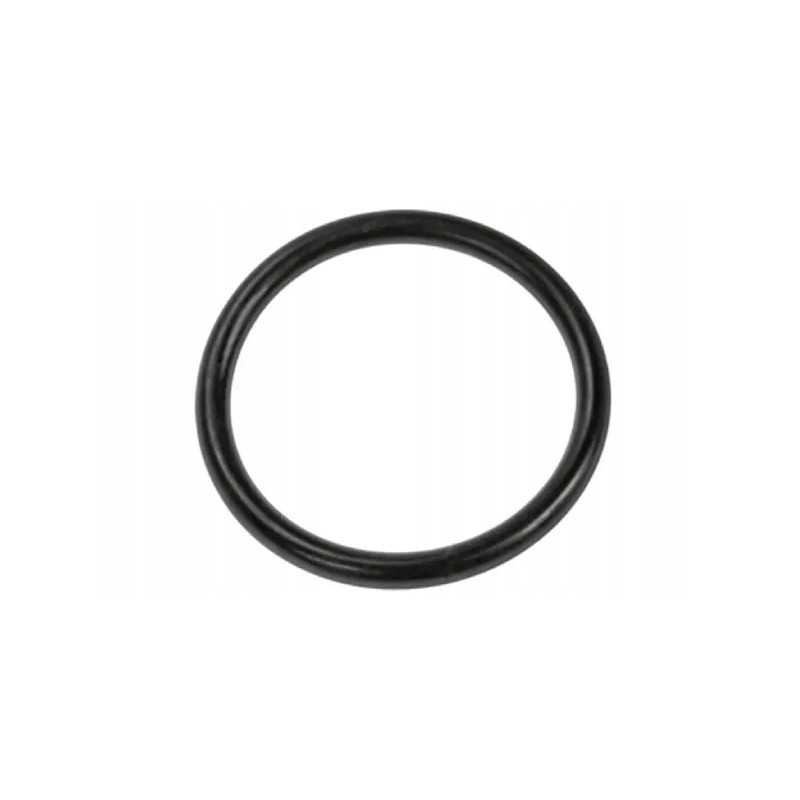 Pagrindinio stabdžių cilindro žiedo sandarinimo žiedas