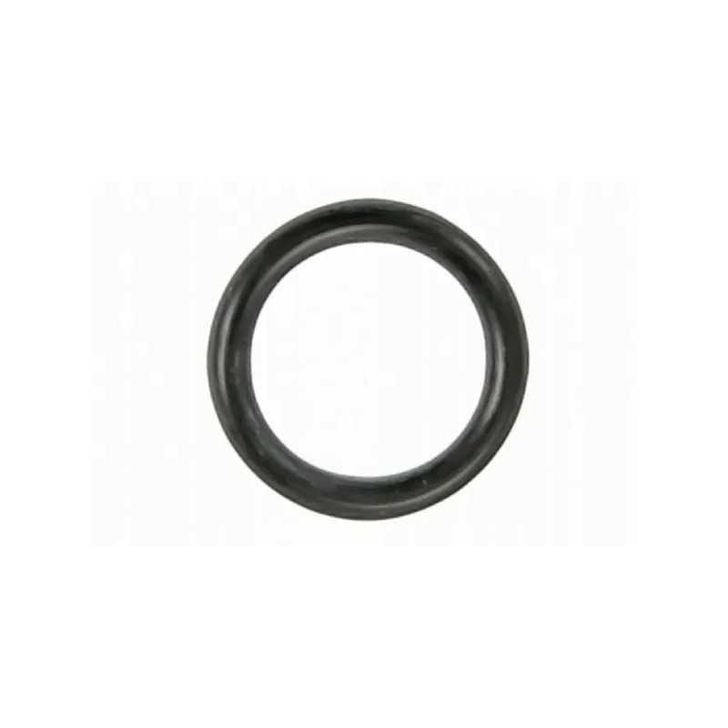 Pagrindinio stabdžių cilindro žiedo sandarinimo žiedas