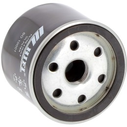 Briggs stratton alyvos filtras 492932s 492932