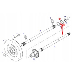 716100420051 pusžiedės sankabos kova