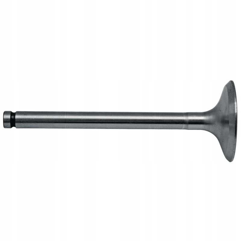 Siurbimo vožtuvas 38015619 granitas