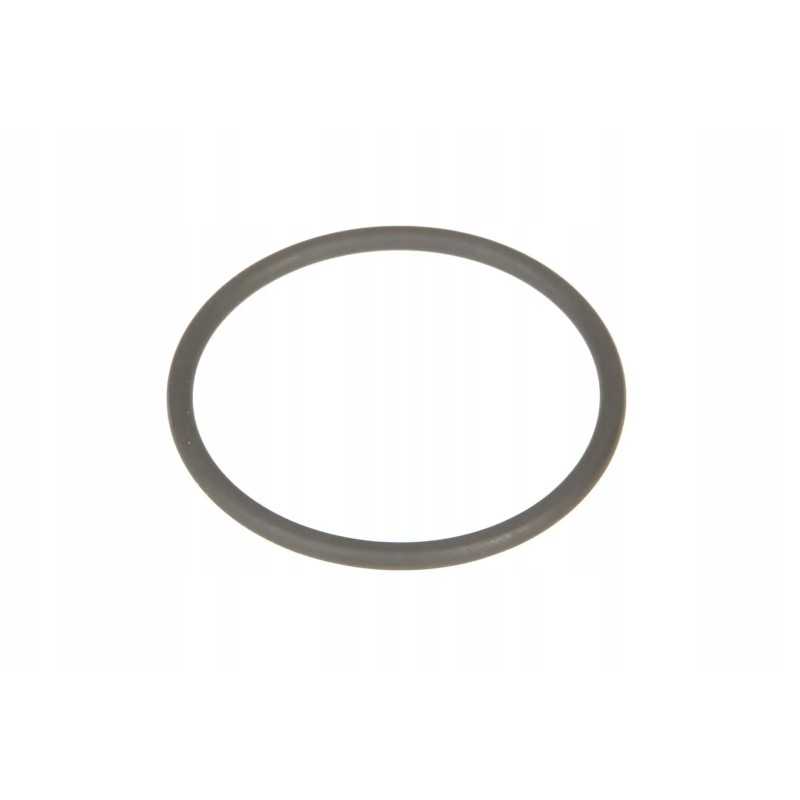 V614604530 turbokompresoriaus sandarinimo žiedas