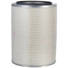 Donaldson P182039 oro filtro įdėklas