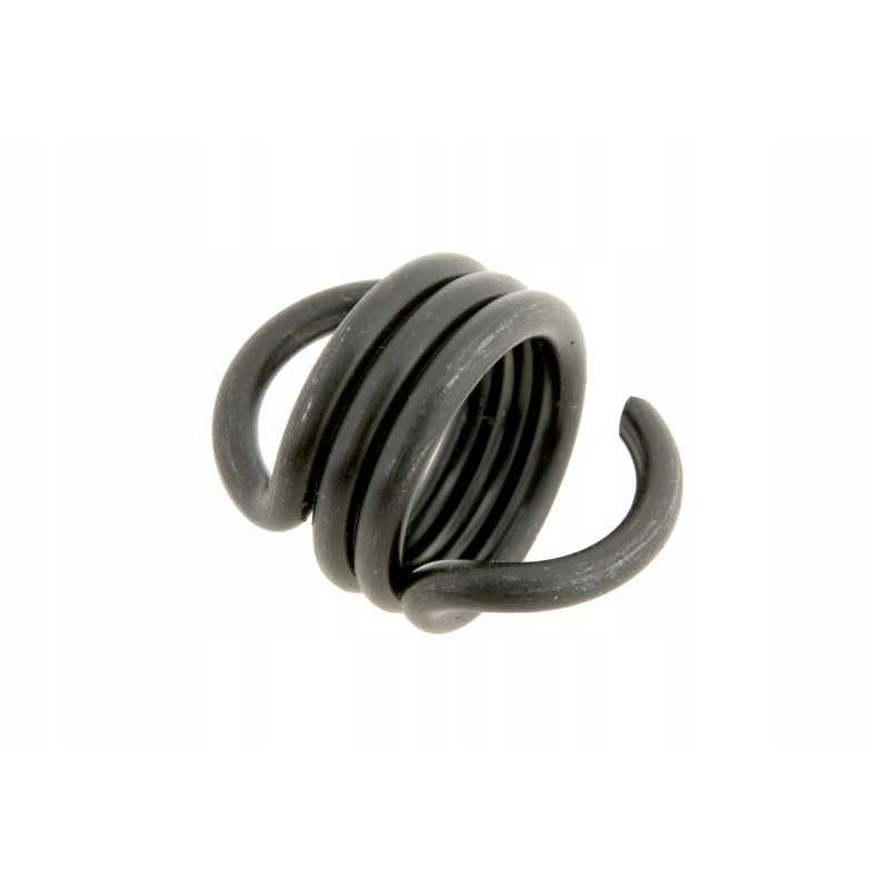 1005510m1 stabdžių sistemos spyruoklė