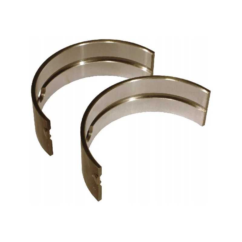 Pora pagrindinių švaistiklio guolių