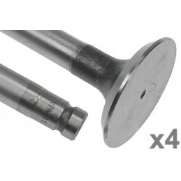 Išmetimo vožtuvas vpa1112