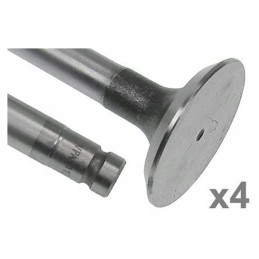 Išmetimo vožtuvas vpa1112