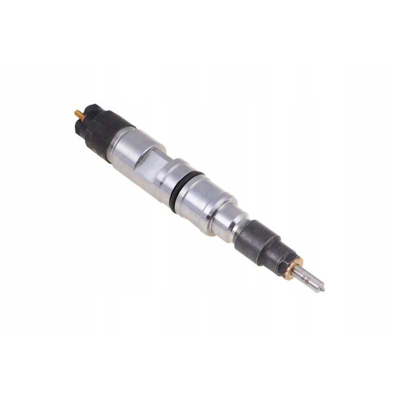 F954200710020 purkštukas