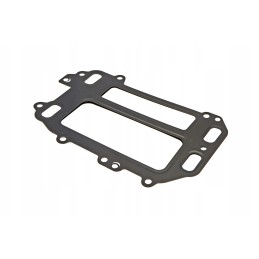 F954200090710 egr vožtuvo tarpinė