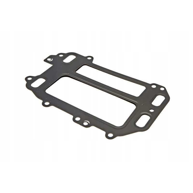 F954200090710 egr vožtuvo tarpinė