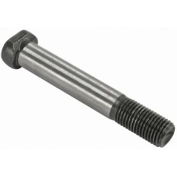 Švaistiklio varžtas vpb6101