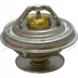 Termostatas new holland 4224624m1