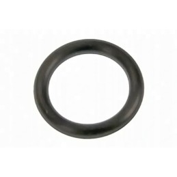 Pagrindinio stabdžių cilindro žiedo sandarinimo žiedas