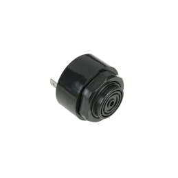 010181 0 elektrinis signalas